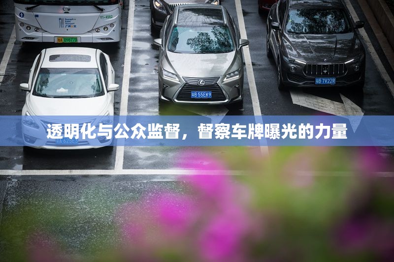 透明化與公眾監(jiān)督，督察車牌曝光的力量