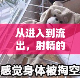 從進(jìn)入到流出，射精的奇妙旅程
