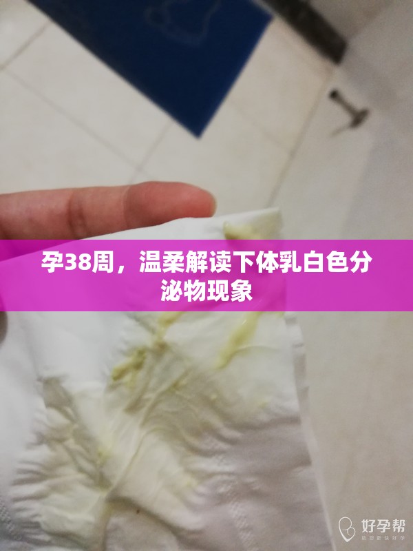 孕38周，溫柔解讀下體乳白色分泌物現(xiàn)象