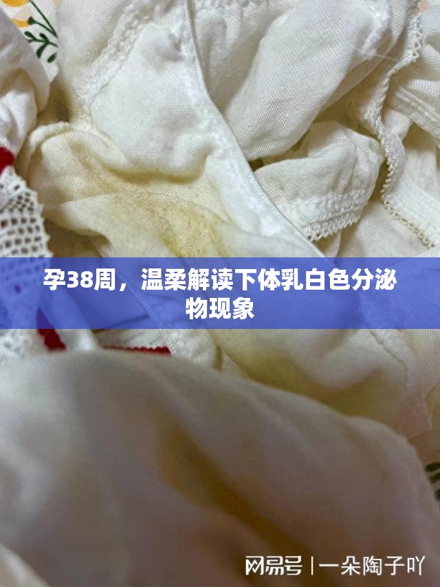 孕38周，溫柔解讀下體乳白色分泌物現(xiàn)象
