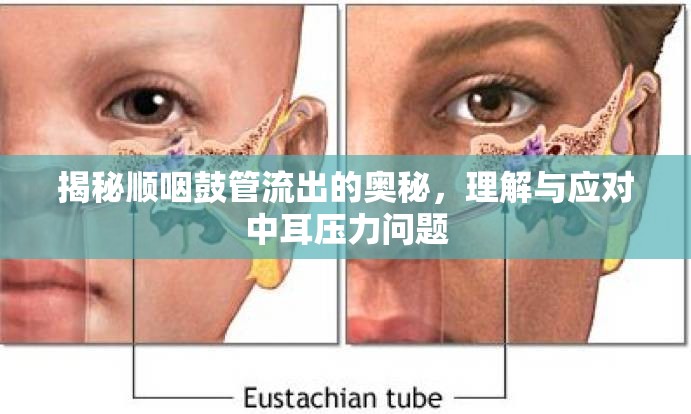 揭秘順咽鼓管流出的奧秘，理解與應(yīng)對中耳壓力問題