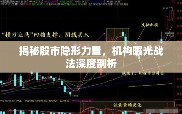 揭秘股市隱形力量，機(jī)構(gòu)曝光戰(zhàn)法深度剖析