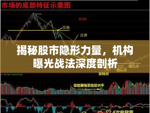 揭秘股市隱形力量，機(jī)構(gòu)曝光戰(zhàn)法深度剖析