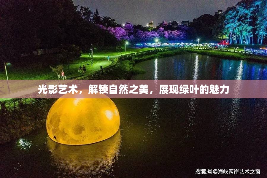 光影藝術，解鎖自然之美，展現(xiàn)綠葉的魅力