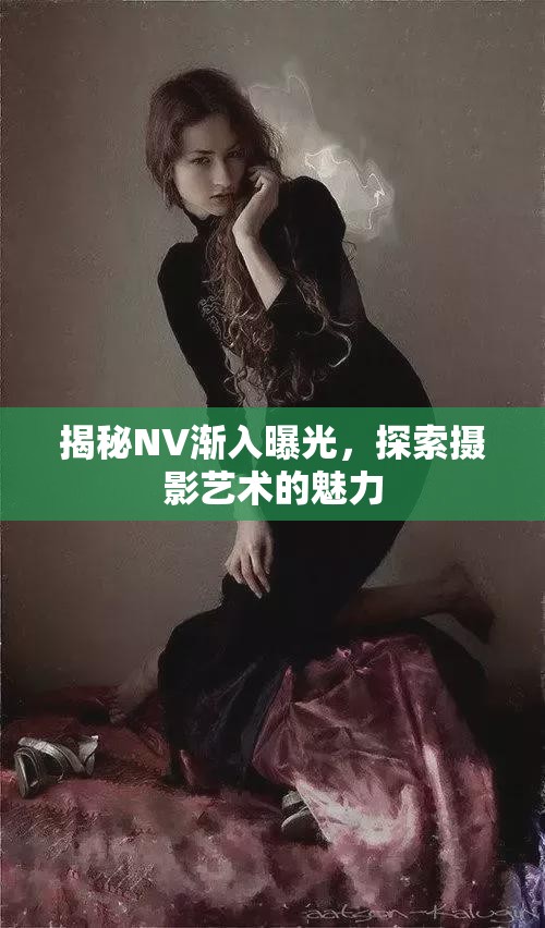 揭秘NV漸入曝光，探索攝影藝術(shù)的魅力