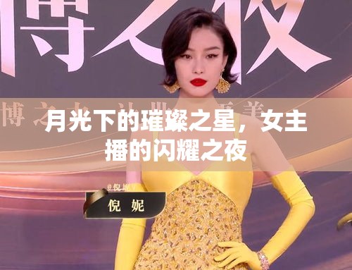 月光下的璀璨之星，女主播的閃耀之夜