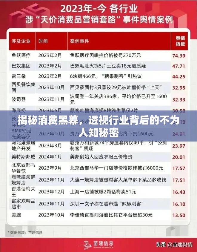 揭秘消費(fèi)黑幕，透視行業(yè)背后的不為人知秘密