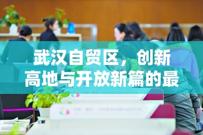 武漢自貿(mào)區(qū)，創(chuàng)新高地與開(kāi)放新篇的最新發(fā)展動(dòng)態(tài)與未來(lái)展望