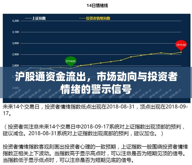 滬股通資金流出，市場(chǎng)動(dòng)向與投資者情緒的警示信號(hào)