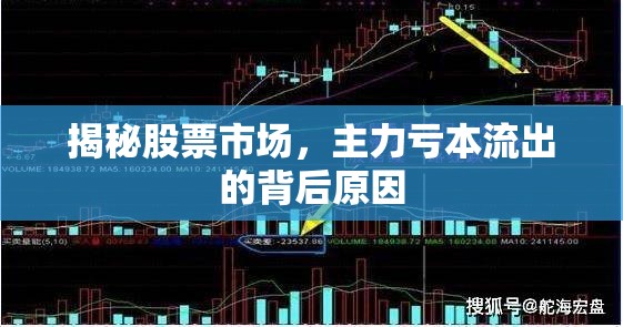 揭秘股票市場，主力虧本流出的背后原因
