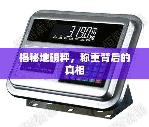揭秘地磅秤，稱重背后的真相
