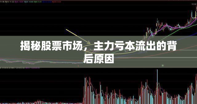 揭秘股票市場，主力虧本流出的背后原因
