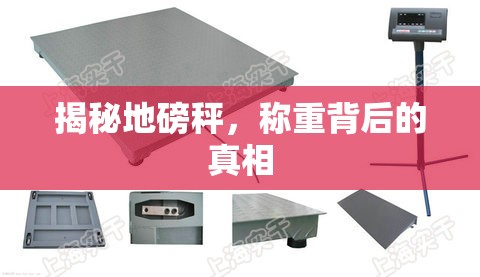揭秘地磅秤，稱重背后的真相