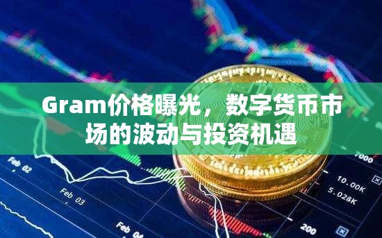 Gram價格曝光，數字貨幣市場的波動與投資機遇