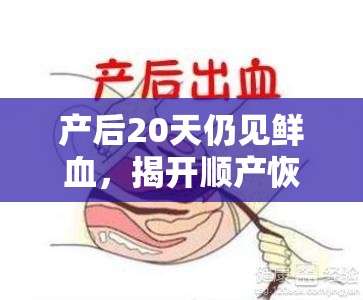 產(chǎn)后20天仍見鮮血，揭開順產(chǎn)恢復(fù)的神秘面紗