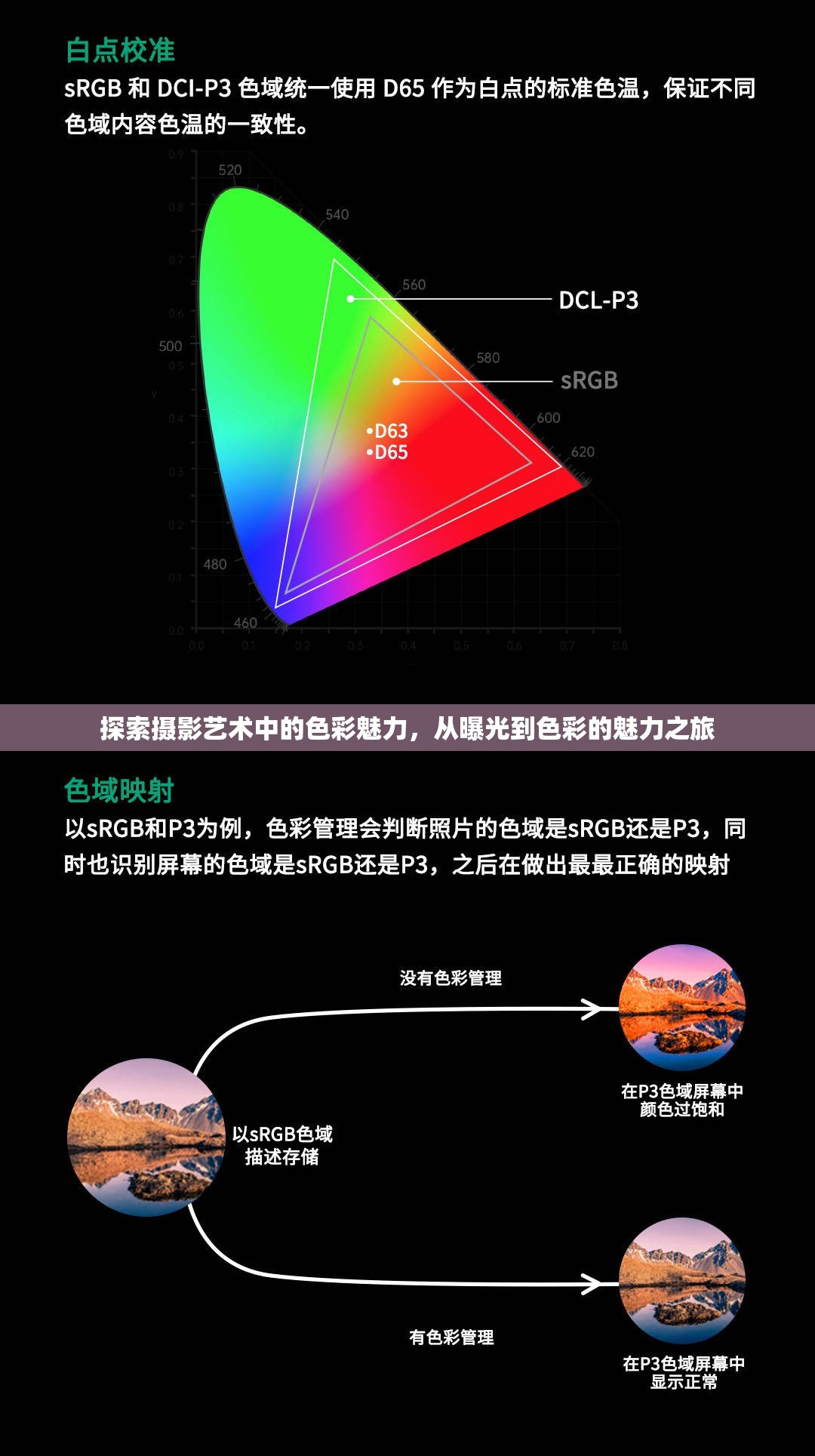探索攝影藝術(shù)中的色彩魅力，從曝光到色彩的魅力之旅