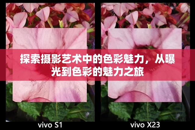 探索攝影藝術(shù)中的色彩魅力，從曝光到色彩的魅力之旅