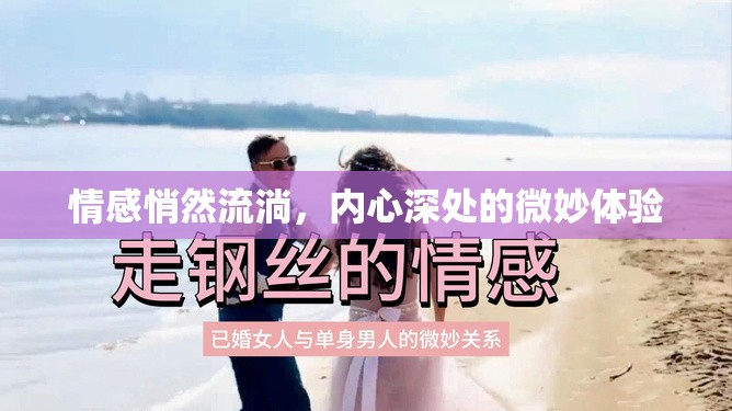 情感悄然流淌，內(nèi)心深處的微妙體驗(yàn)