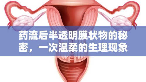 藥流后半透明膜狀物的秘密，一次溫柔的生理現(xiàn)象解析