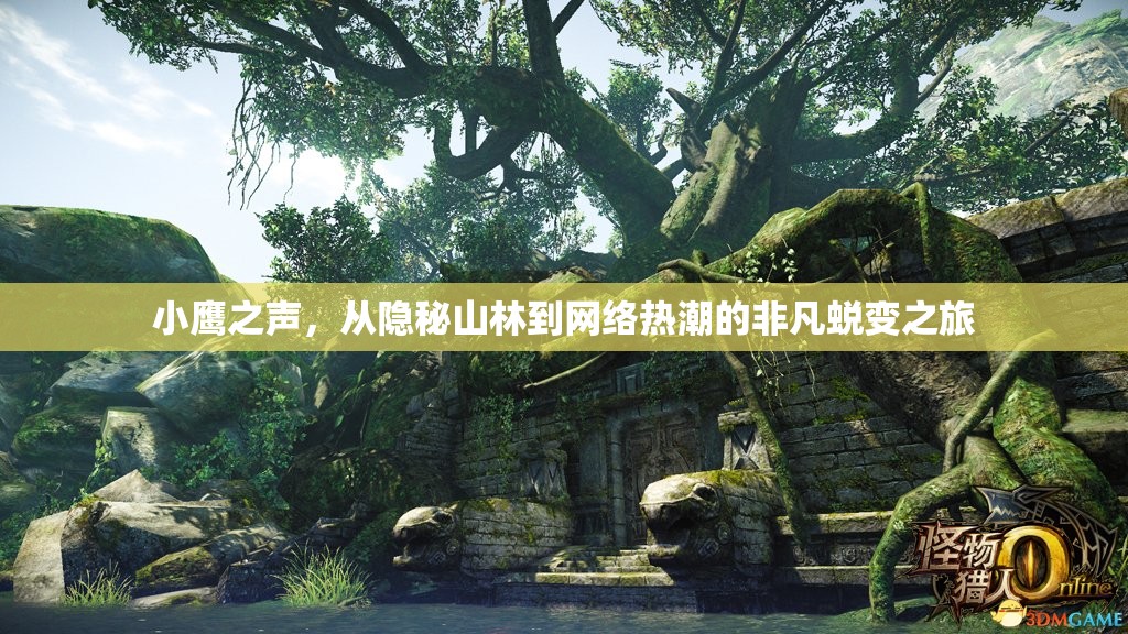 小鷹之聲，從隱秘山林到網(wǎng)絡(luò)熱潮的非凡蛻變之旅