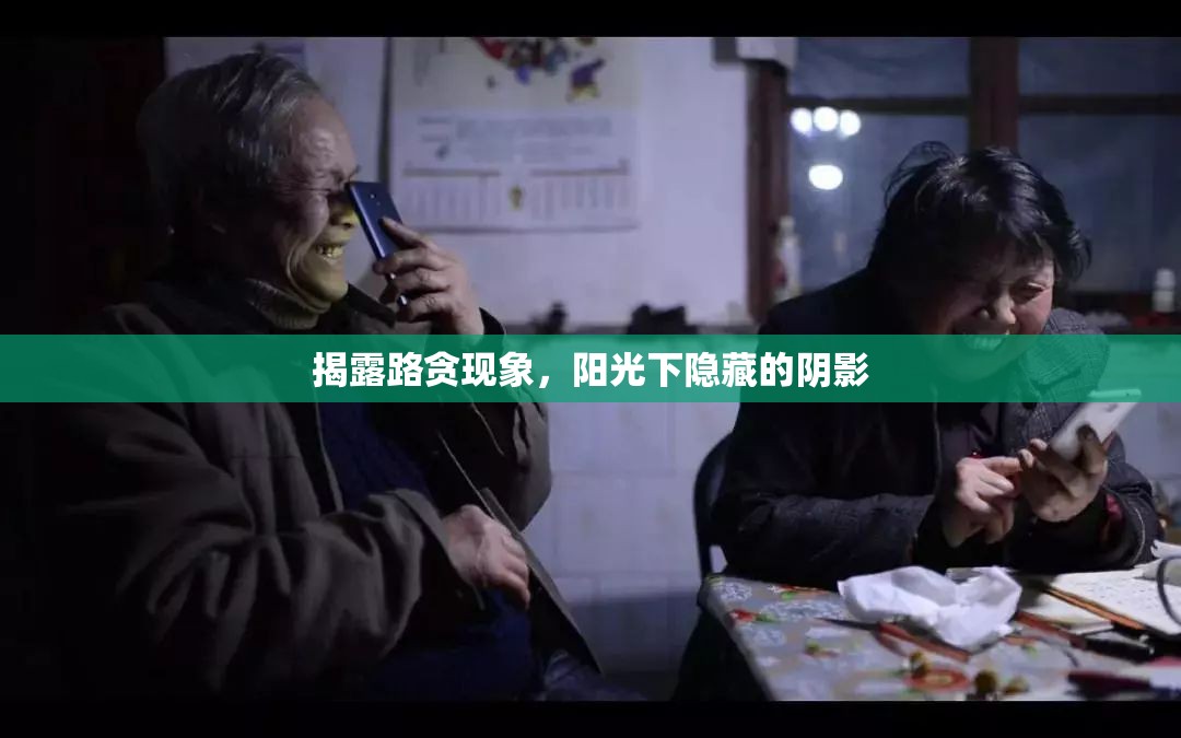 揭露路貪現(xiàn)象，陽(yáng)光下隱藏的陰影