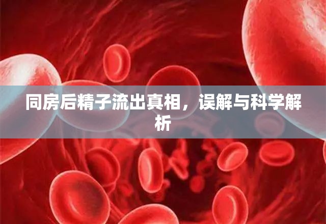 同房后精子流出真相，誤解與科學(xué)解析