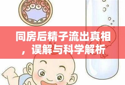 同房后精子流出真相，誤解與科學(xué)解析