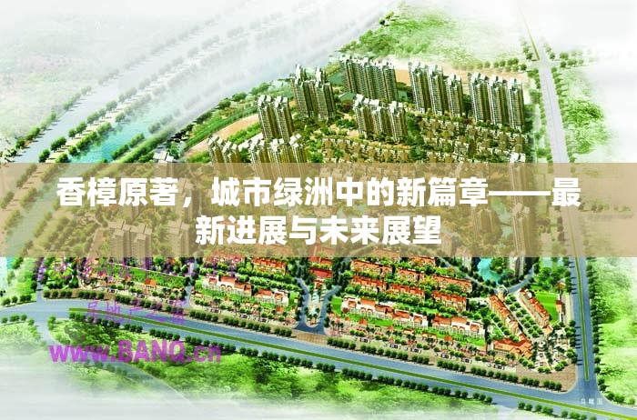 香樟原著，城市綠洲中的新篇章——最新進展與未來展望