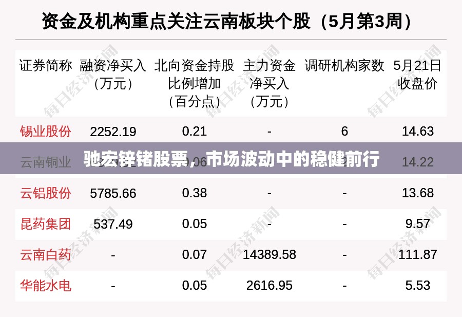 馳宏鋅鍺股票，市場(chǎng)波動(dòng)中的穩(wěn)健前行