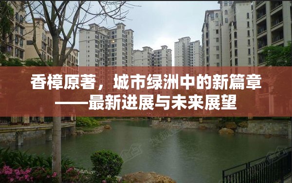 香樟原著，城市綠洲中的新篇章——最新進展與未來展望