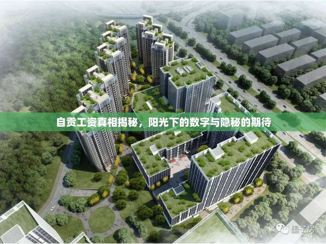 自貢工資真相揭秘，陽光下的數(shù)字與隱秘的期待