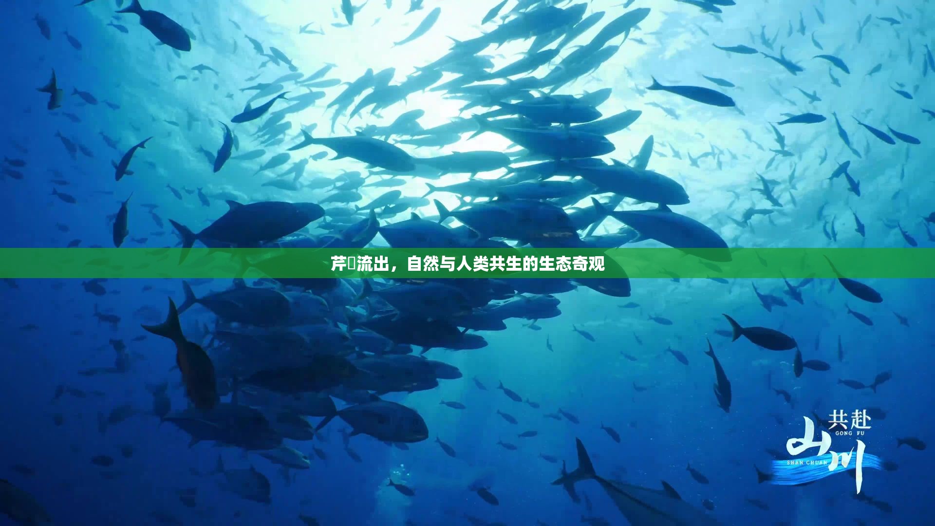 芹沢流出，自然與人類共生的生態(tài)奇觀
