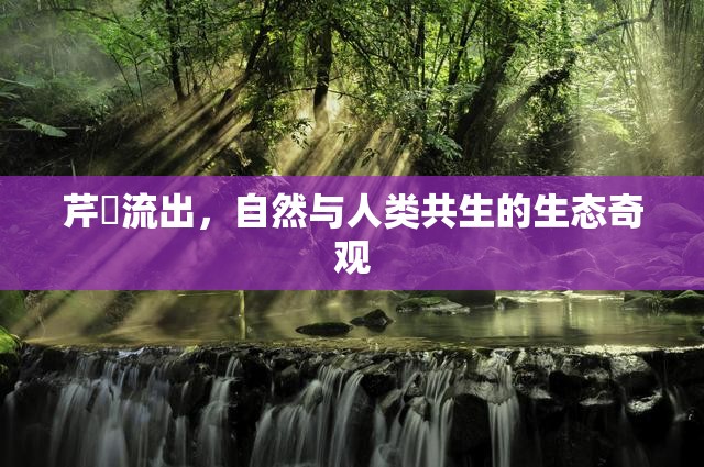 芹沢流出，自然與人類共生的生態(tài)奇觀