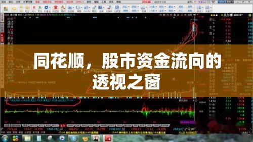 同花順，股市資金流向的透視之窗
