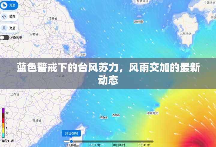 藍(lán)色警戒下的臺(tái)風(fēng)蘇力，風(fēng)雨交加的最新動(dòng)態(tài)