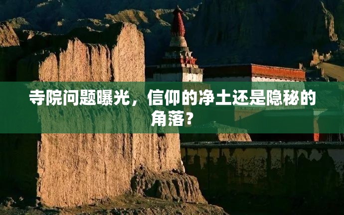 寺院問題曝光，信仰的凈土還是隱秘的角落？