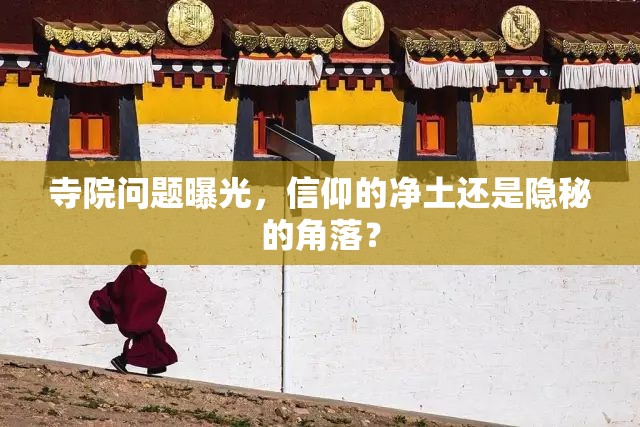 寺院問題曝光，信仰的凈土還是隱秘的角落？