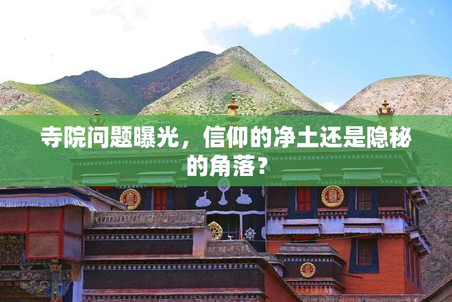 寺院問題曝光，信仰的凈土還是隱秘的角落？