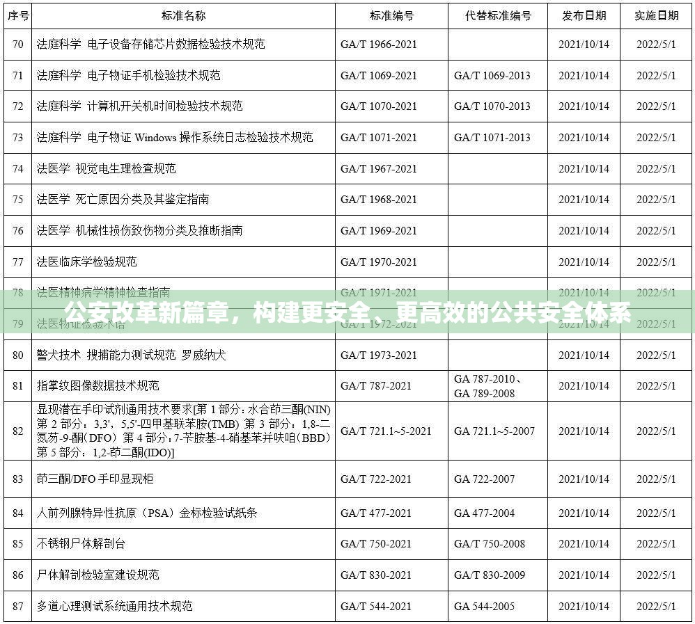 公安改革新篇章，構(gòu)建更安全、更高效的公共安全體系