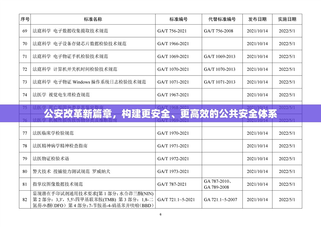 公安改革新篇章，構(gòu)建更安全、更高效的公共安全體系