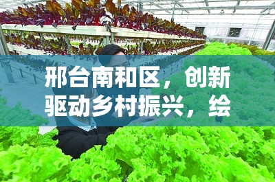 邢臺南和區(qū)，創(chuàng)新驅(qū)動鄉(xiāng)村振興，繪就發(fā)展新藍(lán)圖