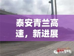 泰安青蘭高速，新進展與未來展望——最新消息速遞