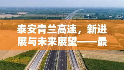 泰安青蘭高速，新進展與未來展望——最新消息速遞