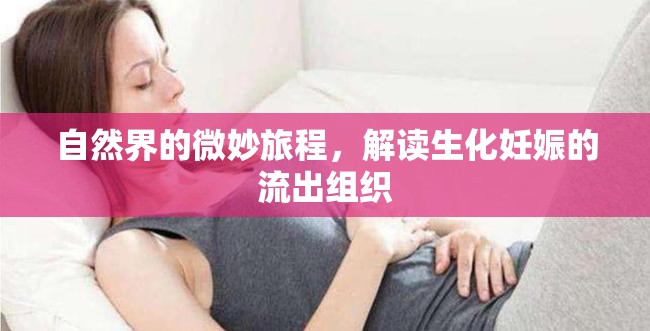 自然界的微妙旅程，解讀生化妊娠的流出組織