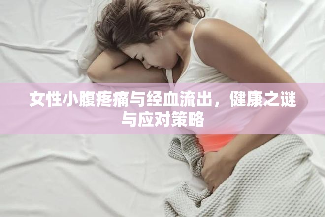 女性小腹疼痛與經(jīng)血流出，健康之謎與應(yīng)對策略