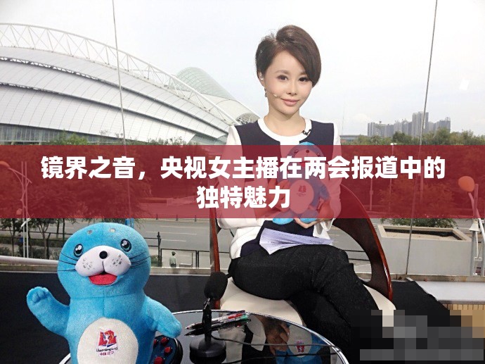鏡界之音，央視女主播在兩會(huì)報(bào)道中的獨(dú)特魅力