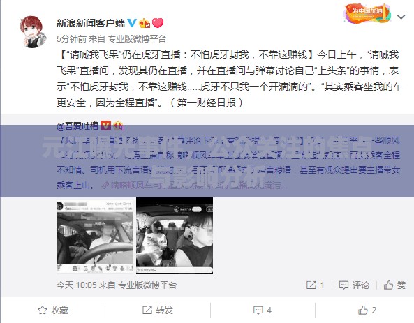 元江曝光事件，公眾關(guān)注的焦點(diǎn)與影響分析