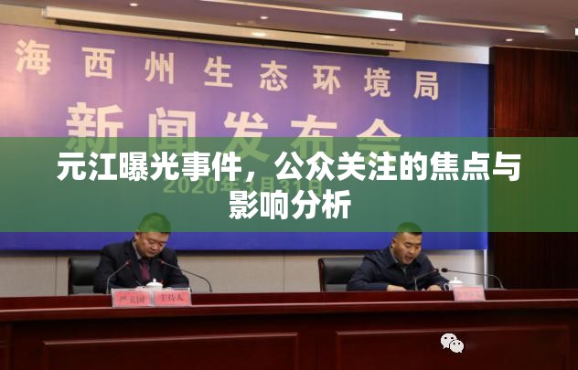 元江曝光事件，公眾關(guān)注的焦點(diǎn)與影響分析