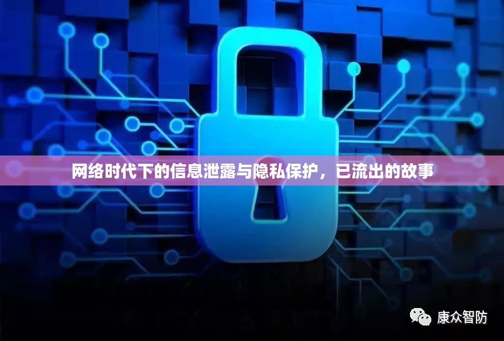 網(wǎng)絡(luò)時代下的信息泄露與隱私保護，已流出的故事