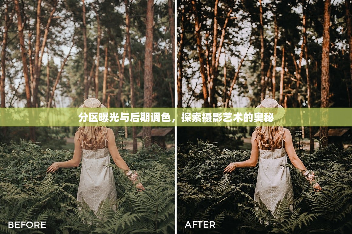 分區(qū)曝光與后期調(diào)色，探索攝影藝術(shù)的奧秘